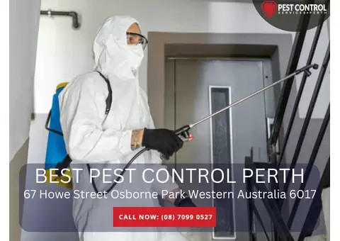 Trusted Pest Control Services in Wanneroo – Book Today!