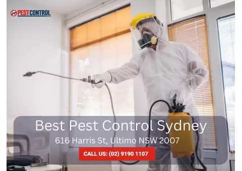 Comprehensive Building & Pest Inspections in Sydney
