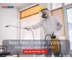 Comprehensive Building & Pest Inspections in Sydney
