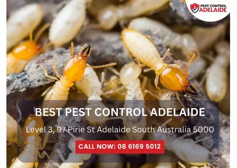 Pest Control Munno Para – Trusted Pest Experts