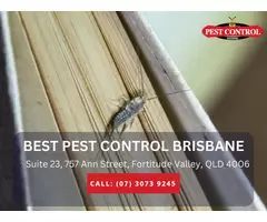 Pest Control Springfield Lakes – Professional Pest Solutions