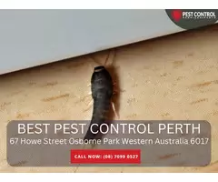 Pest Control North Perth – Comprehensive Pest Solutions