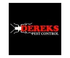 Dereks Wasp Removal Brisbane