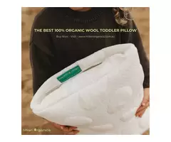 Organic wool toddler pillow for newborn babies !