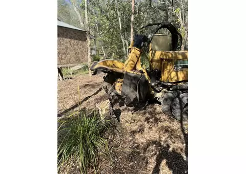 "Affordable Stump Grinder Hire on the Gold Coast for Quick Tree Removal"