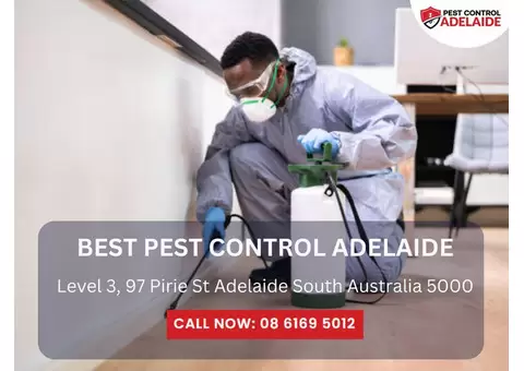 Your Go-To Pest Control Company Near Me in Adelaide