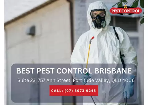 Professional Termite Removal Brisbane – Fast & Efficient Solutions!