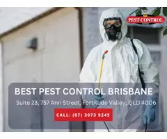 Professional Termite Removal Brisbane – Fast & Efficient Solutions!