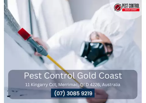 Expert Pest Exterminators on the Gold Coast – Fast & Reliable