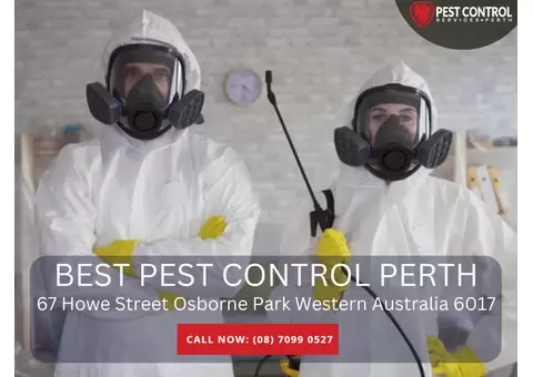 Home Pest Control Services in Perth – Protect Your Family and Property