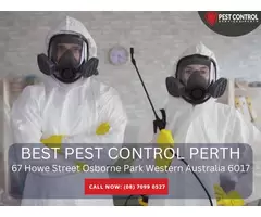 Home Pest Control Services in Perth – Protect Your Family and Property