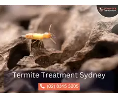 Termite Removal in Sydney – Safeguard Your Property with Expert Removal