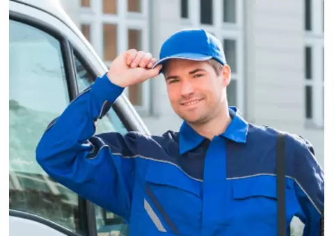 Pest Inspection – Protect Your Property with Professional Pest Checks