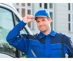 Pest Inspection – Protect Your Property with Professional Pest Checks