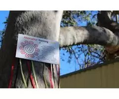 Discover the Best Childcare in Lakemba: Why Sunny Kids Lakemba Stands Out