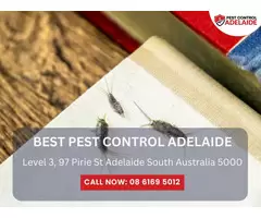 Pest Control Services in Adelaide – Trusted Solutions for Every Pest Problem