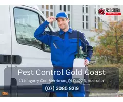 Residential Pest Control Gold Coast – Protect Your Home