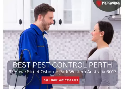 Best Pest Control Perth – Your Trusted Experts