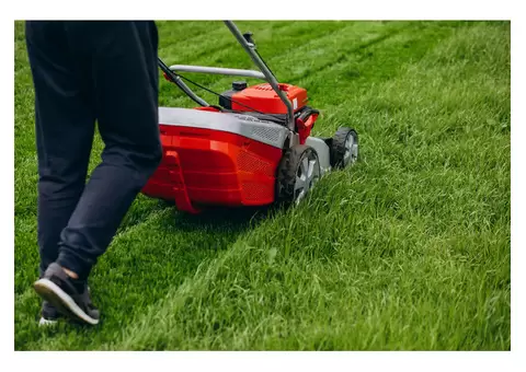 Having trouble with lawn maintenance to keep up your lawn health?