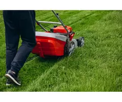 Having trouble with lawn maintenance to keep up your lawn health?