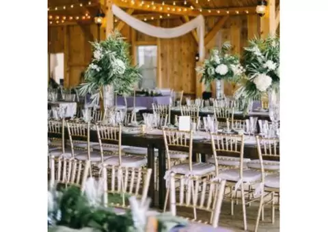 Top Tiffany Chairs: The Ultimate Choice for Classy Events - 1/4