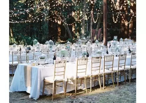 Top Tiffany Chairs: The Ultimate Choice for Classy Events - 2/4
