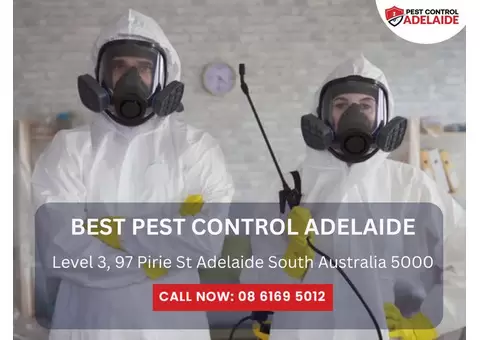 Pest Control Salisbury – Effective and Affordable Services