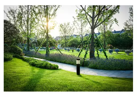 Do you want to convert your Outdoor area into a beautiful landscape?