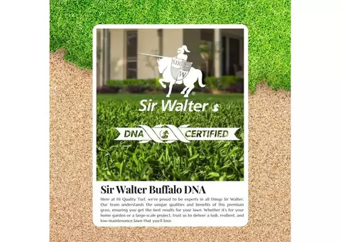 From Bare Soil to Beautiful Lawn with Sir Walter Turf Price