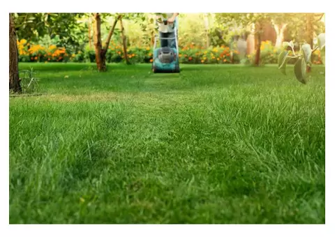 Looking For Lawn Care Service Sydney