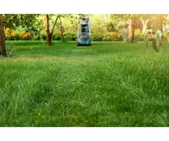 Looking For Lawn Care Service Sydney