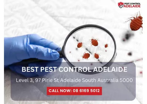 Pest Exterminators in My Area – Swift and Effective Solutions