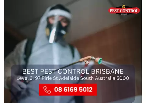 Pest Control for Home – Effective and Affordable Solutions
