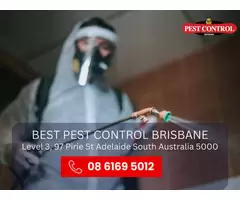 Pest Control for Home – Effective and Affordable Solutions