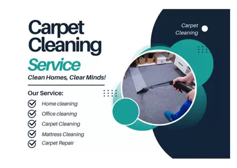 Fresh, Clean Carpets for Your Home in Toowong | Book Now