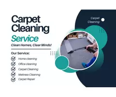 Fresh, Clean Carpets for Your Home in Toowong | Book Now