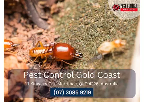 Residential Pest Control Services Gold Coast – Protect Your Home