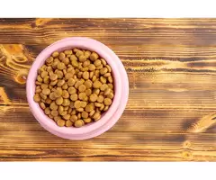 What Role Do Vegetables Play in LifeWise Biotic Skin?