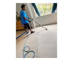 Get Professional Commercial Carpet Cleaning Services in St Lucia