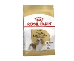 Royal Canin Cavalier King Charles Adult Dry Dog Food