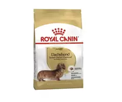 Royal Canin Dachshund Adult Dry Dog Food