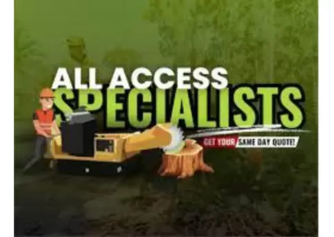 Stump Grinder Hire Gold Coast: Rent Powerful Equipment for DIY Stump Removal