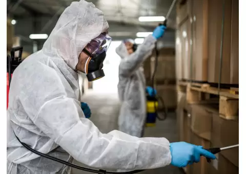 Pest Combat Pest Control Belmont