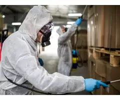 Pest Combat Pest Control Belmont