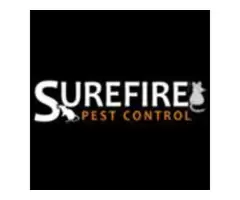 SureFire Wasp Control Brisbane