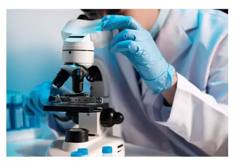 Asbestos Occupational Hygiene Services Cairns