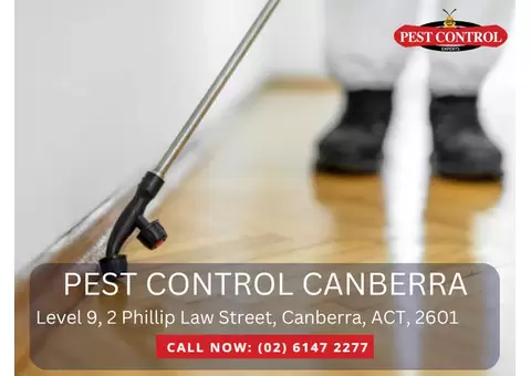 Commercial Pest Control Canberra – Tailored Solutions