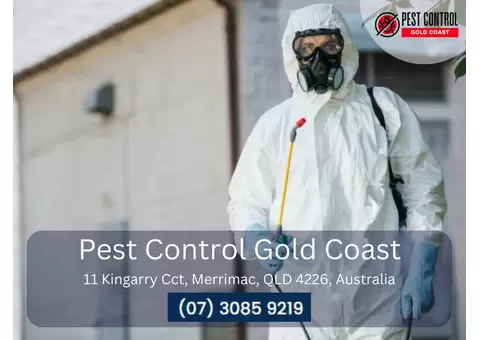 Commercial Pest Control Gold Coast – Customised Solutions