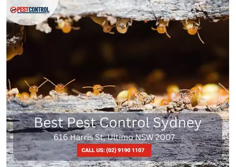 Pest Control for Commercial Buildings in Sydney