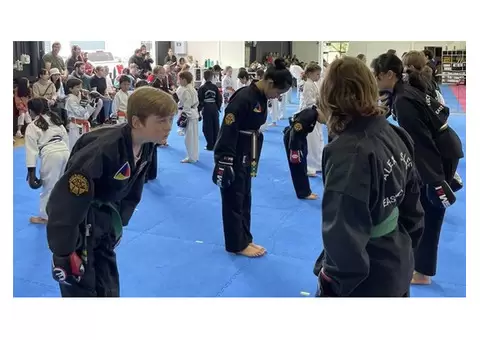 Discover The Benefits of Kids Karate Classes at AMAF Australia